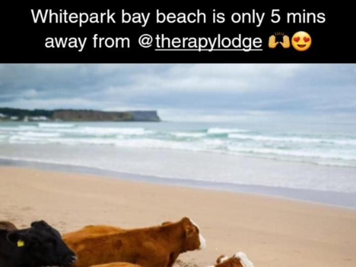 Therapy Lodge Ballycastle Dış mekan fotoğraf
