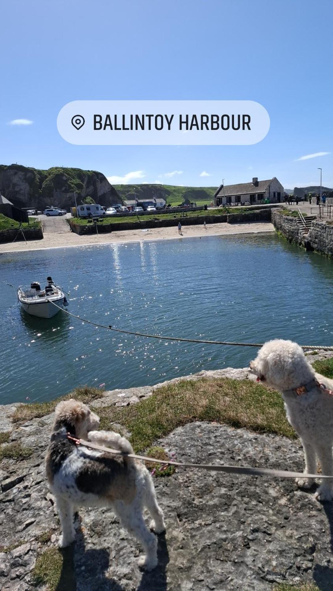 Therapy Lodge Ballycastle Oda fotoğraf